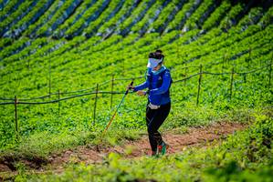 BIB: 
                            <button type="button" onclick="openModal(19163069)" class="btn btn-primary btn-sm float-right btn-popup" data-toggle="modal" data-target=".modal-high-quality">
                        <i class="fas fa-shopping-cart"></i> Add to Cart
                    </button>
                                            <button type="button" onclick="isThisMe(19163069, true)" class="btn btn-success btn-sm float-right btn-popup btn-isme hidden" data-toggle="tooltip" data-placement="bottom" title="นี่คือรูปของคุณใช่ไหม คลิกที่นี่เพื่อเอาเข้าอัลบั้ม">
                        <i class="fas fa-plus"></i> Add to album
                    </button>
                    <button type="button" onclick="isThisMe(19163069, false)" class="btn btn-warning btn-sm float-right btn-popup btn-isnotme hidden">
                        <i class="fas fa-ban"></i> Remove from album
                    </button>